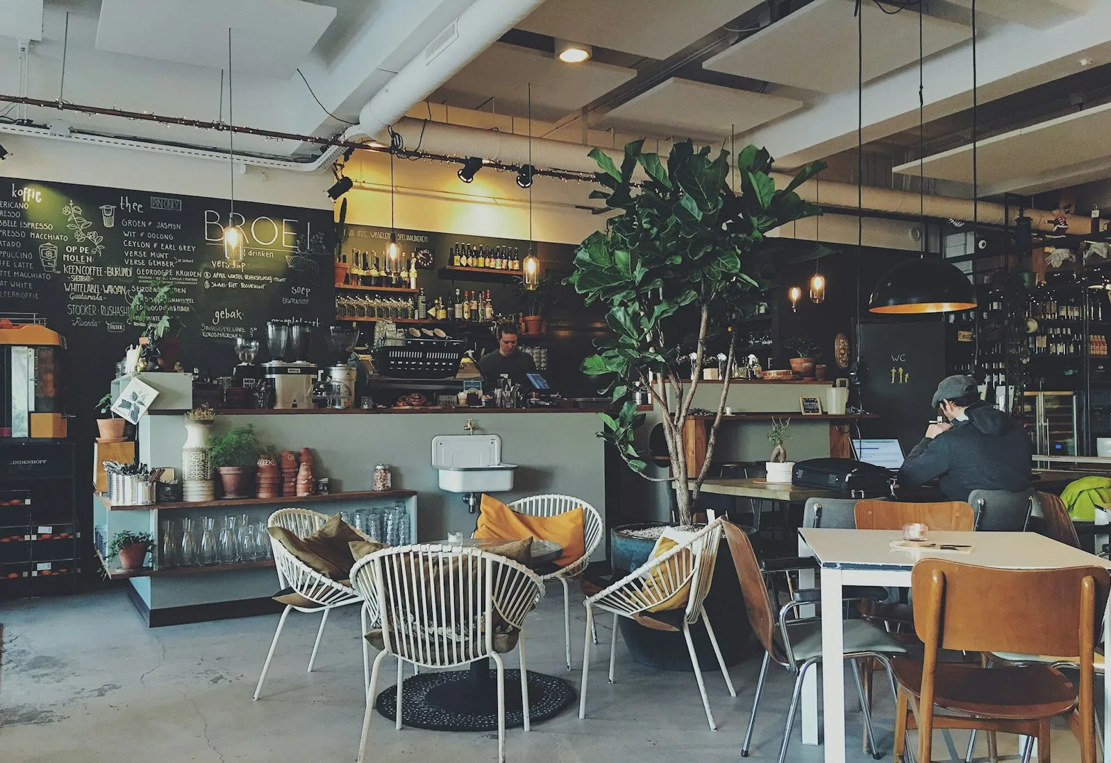 Bright cafe interior with a chalkboard menu, fiddle-leaf fig and a guest on a laptop