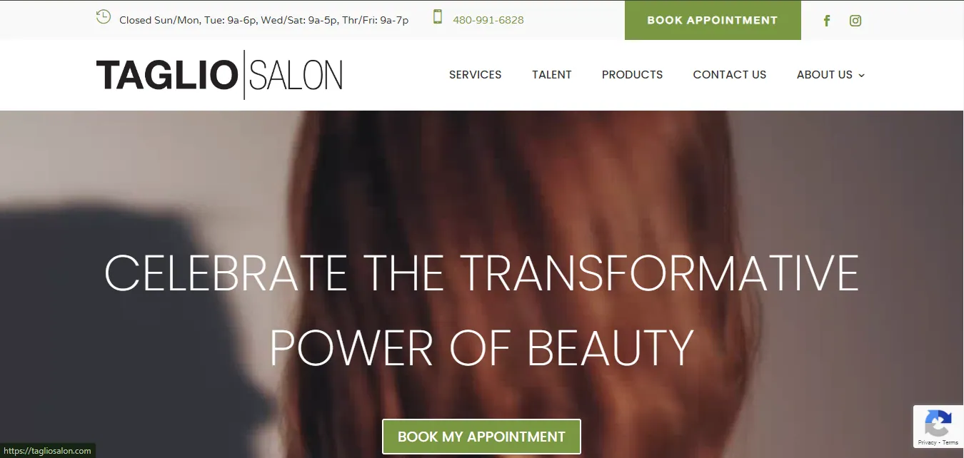 Taglo Salon homepage with a book-appointment button